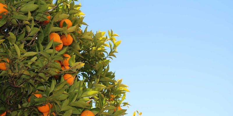 云计算赋能无锡“运河绝版地”文化带：企业IT解决方案如何打造数字孪生与沉浸式新体验