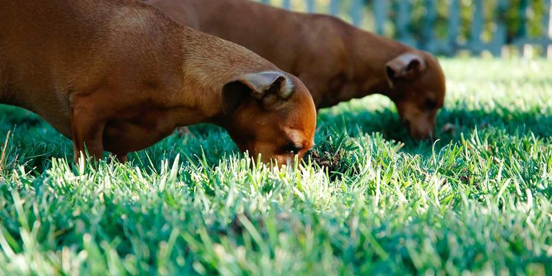 无锡国家传感网创新示范区：物联网技术如何赋能城市精细化管理与企业IT解决方案