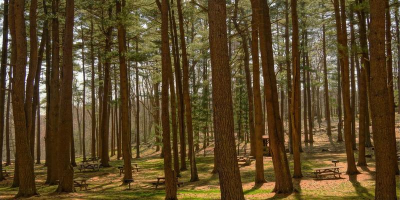 无锡国家数字电影产业园：影视工业化探索与亿科云翔企业IT解决方案的融合之道