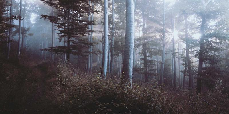 无锡如何依托数据中心与云计算赋能产业升级与城市发展