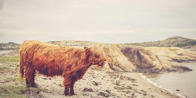 无锡数据要素市场培育：地方数据交易所的定位与运营模式探索——以亿科云翔云计算与服务器技术为基