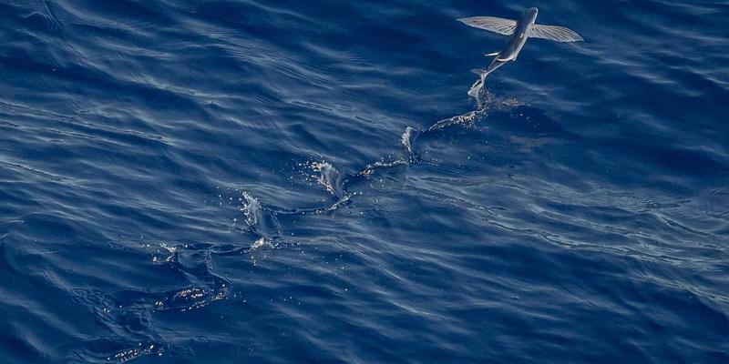 无锡智能制造标杆工厂巡礼：IT服务与数据中心如何驱动车间革命