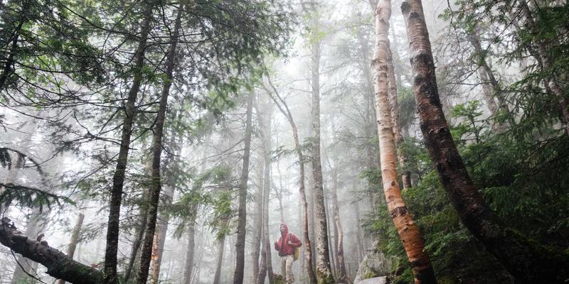 无锡物联网产业十年跃迁：从国家示范区到世界级产业集群的IT服务与数据中心支撑路径