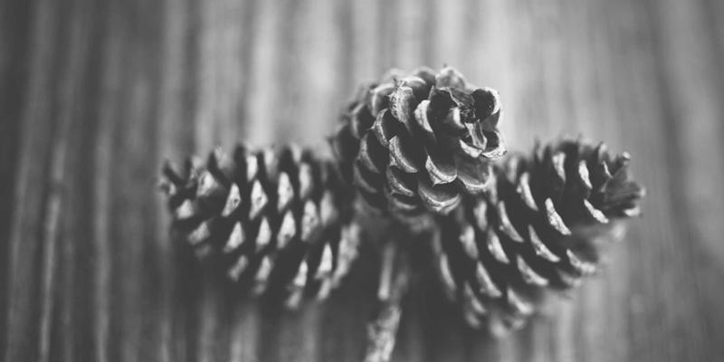 无锡蠡湖未来城规划：企业IT解决方案与服务器如何借力科创新引擎