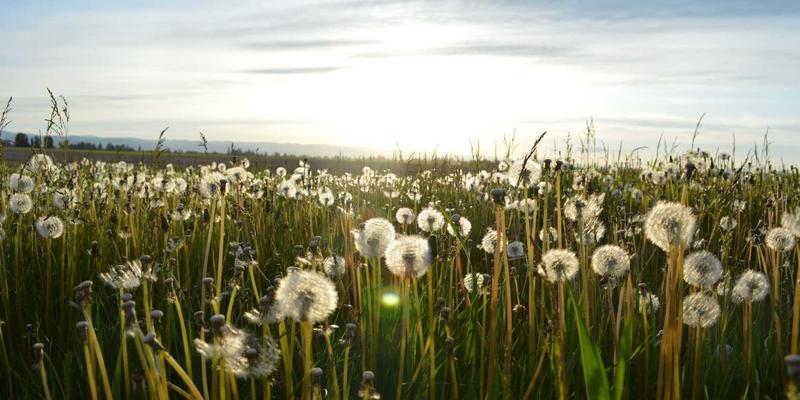 无锡评测:亿科云翔如何以企业IT解决方案与云计算赋能本地产业数字化转型