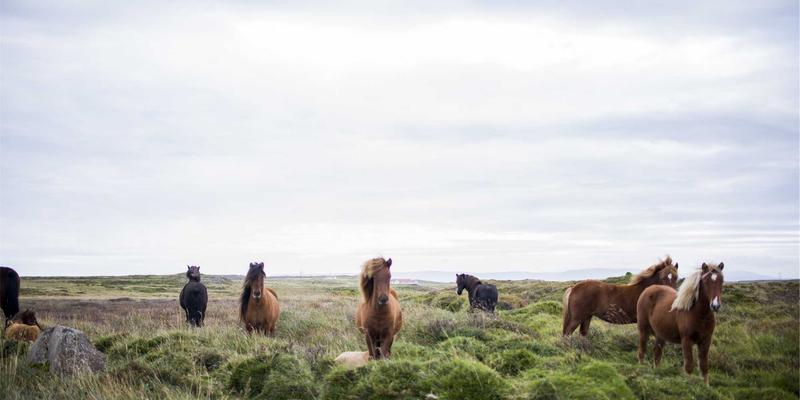 无锡集成电路设计服务业：破解发展瓶颈，数据中心与IT服务如何赋能产业升级