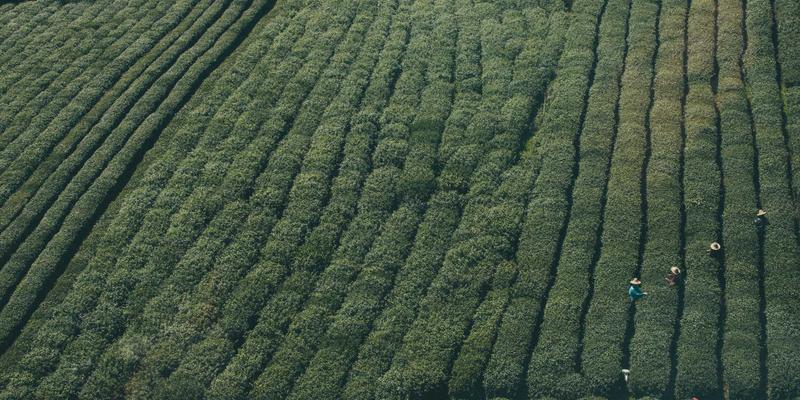 无锡霞客湾科学城规划：打造科技创新策源地，亿科云翔IT服务如何构建坚实数字底座